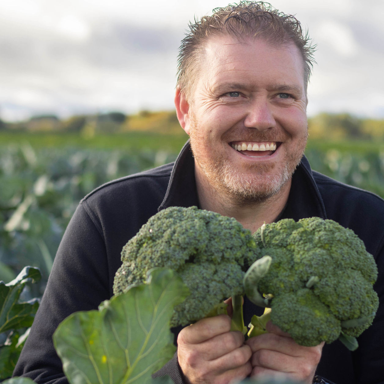 Grá Broccoli