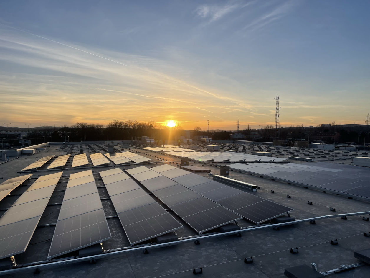 Climate action picture