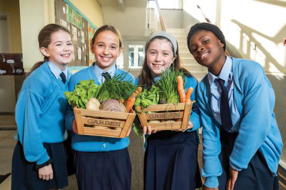 Educating Customers image