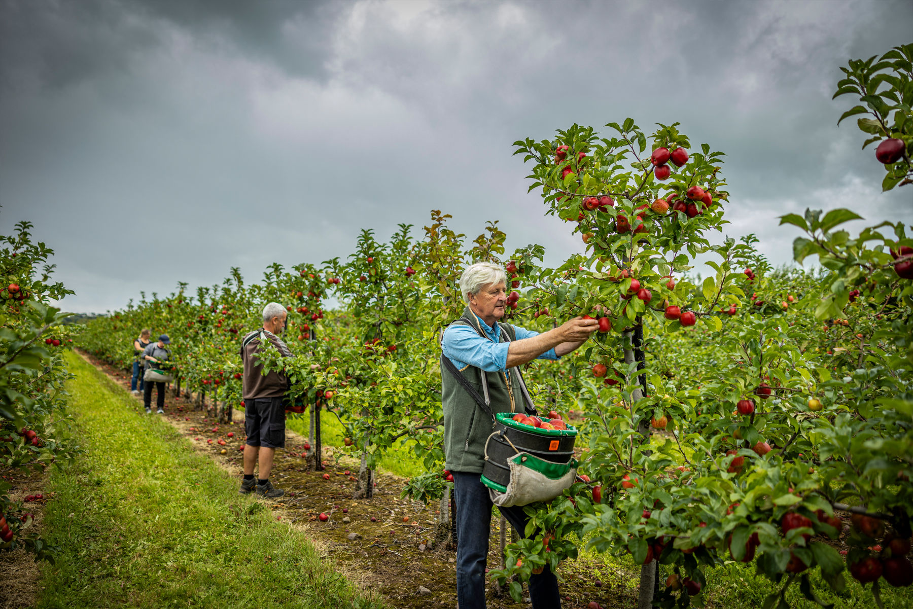 Grá Produce