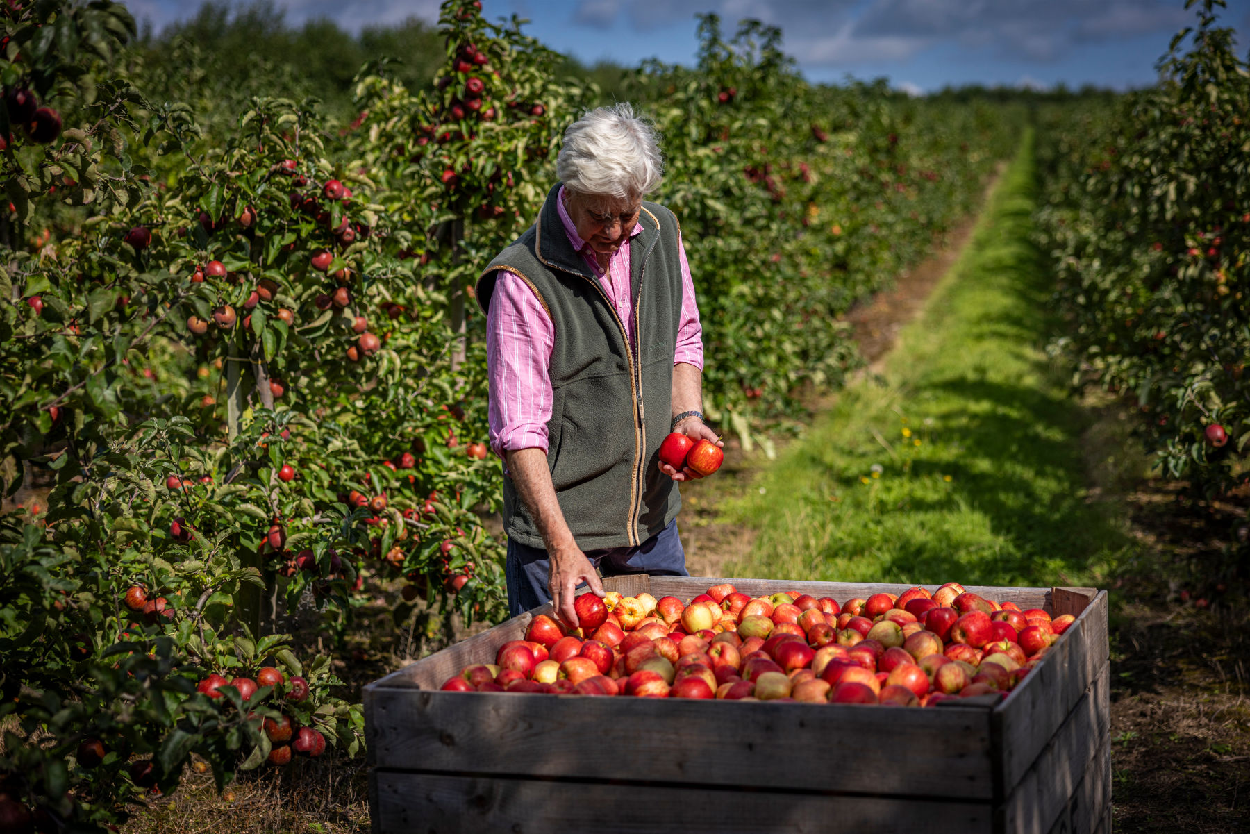 Grá Produce