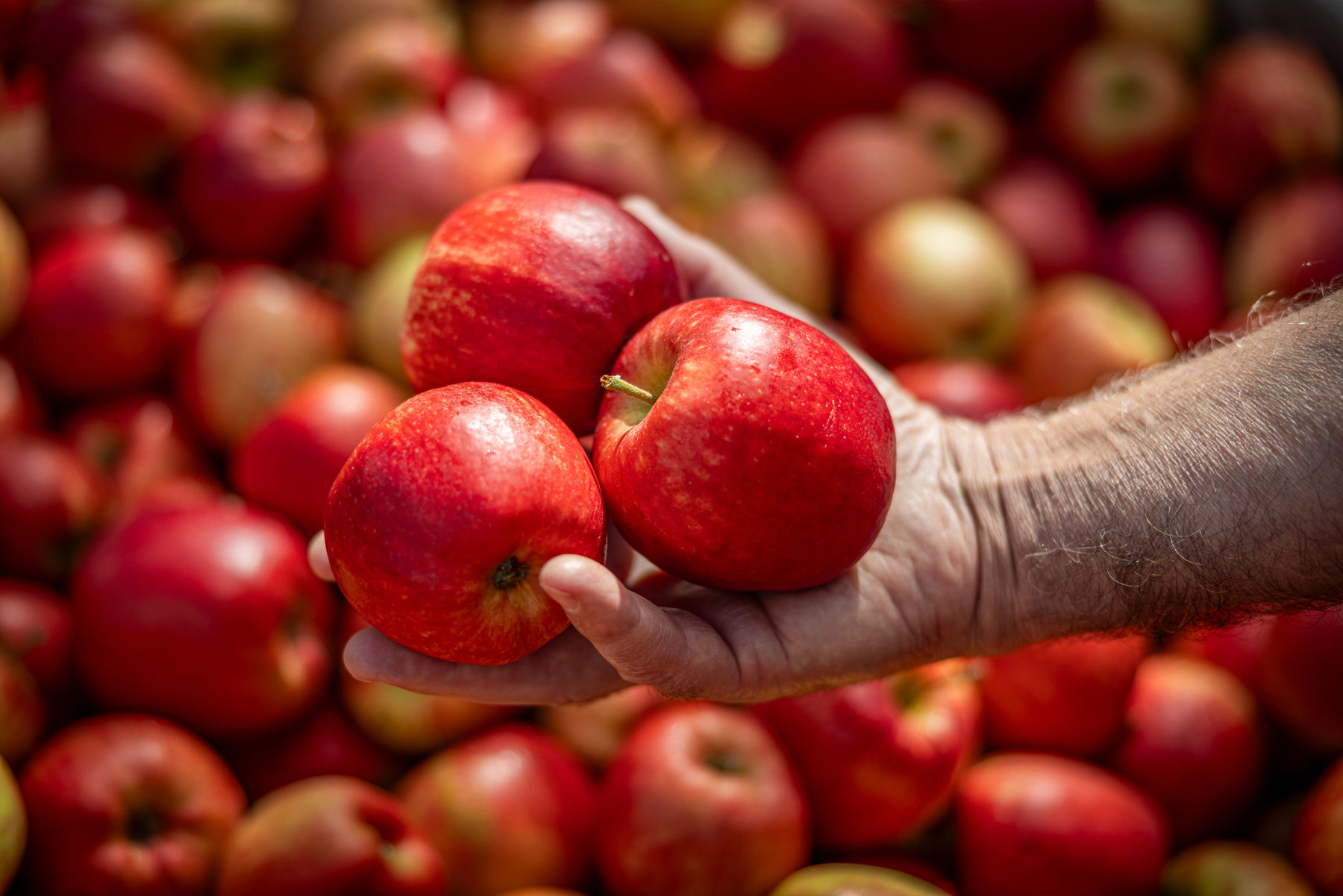 Grá Produce